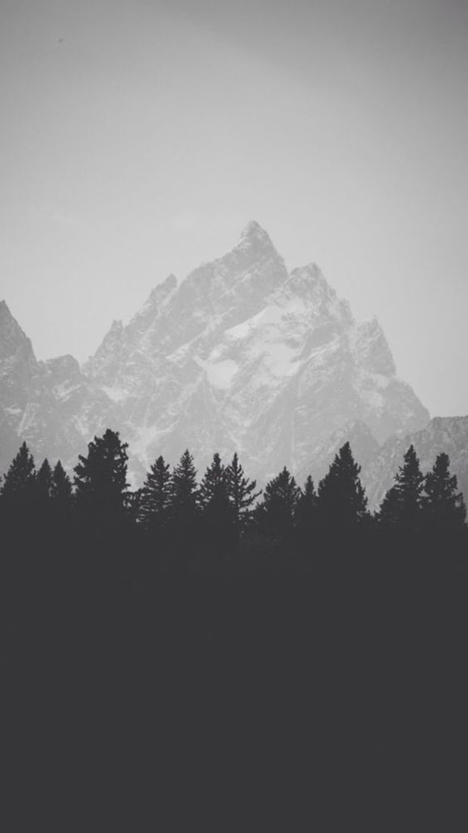 复古黑白森林H5背景，高清JPG下载，独特图片设计素材