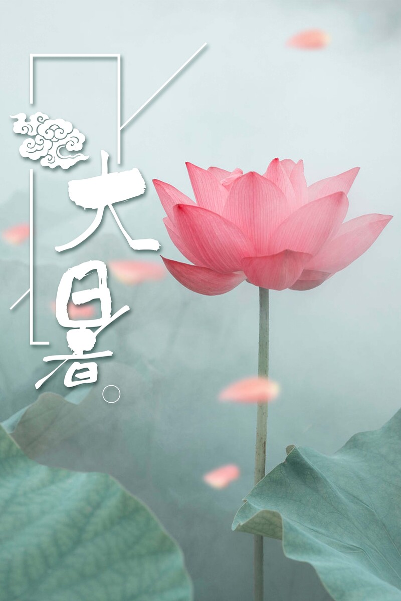 大暑时节荷花盛景，高清唯美JPG背景素材，创意图片设计下载