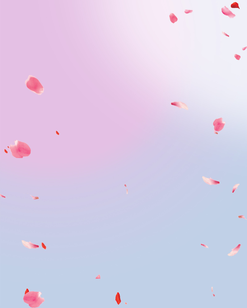 妇女节梦幻花瓣雨背景，高清JPG素材，创意图片设计资源下载