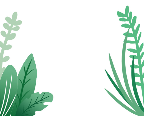 扁平风植物矢量图，高清PNG透明动植物元素，设计素材下载
