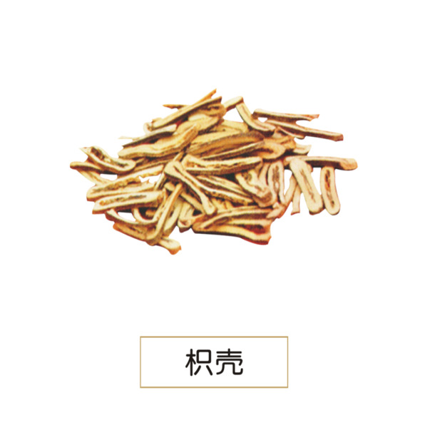 枳壳PNG透明图片，高清动植物元素，植物设计素材免费下载