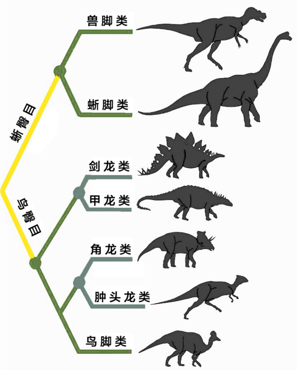 恐龙类目图谱，高清PNG透明动植物元素，动物设计素材免费下载
