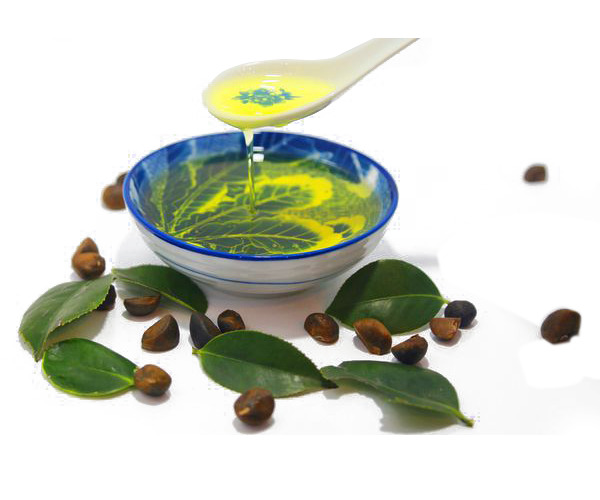 茶油PNG透明图片，动植物元素植物设计素材，高清下载