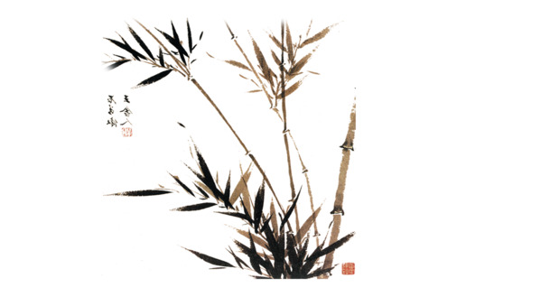 中国风水墨竹子PNG透明图片，高清动植物元素设计素材下载
