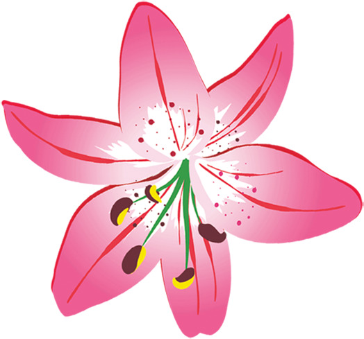 紫色水彩花朵美景PNG透明图，节日元素及其他图片素材下载