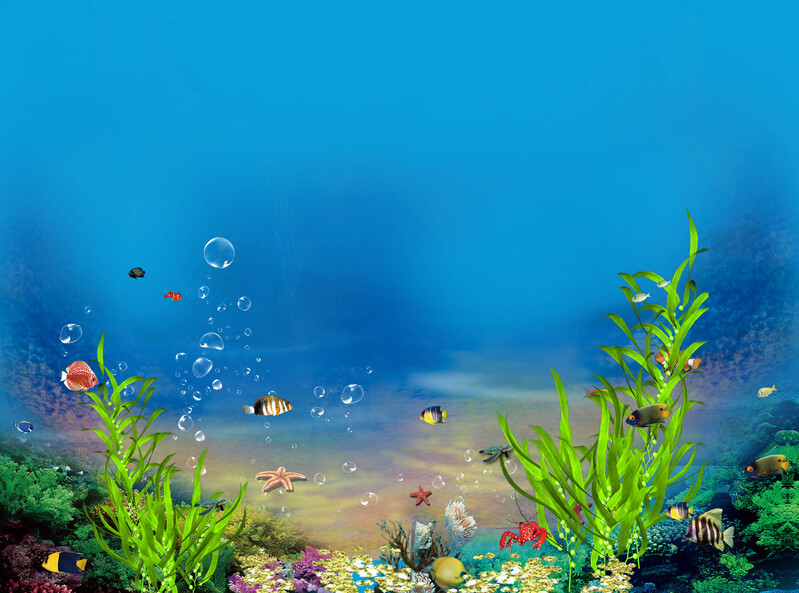 海底奇观，珊瑚海草高清JPG，创意海报背景素材下载