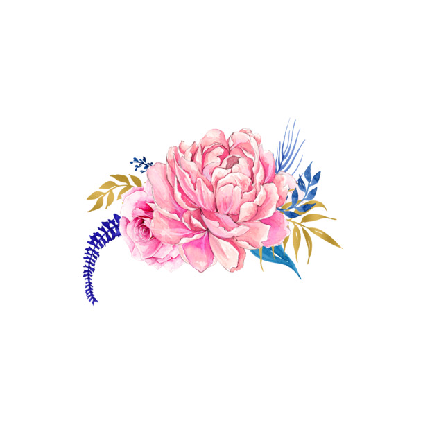 粉色花朵PNG透明图，高清花瓣漂浮元素，设计素材免费下载
