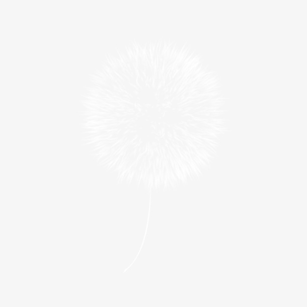 蒲公英PNG透明图，高清动植物元素，设计素材一键下载