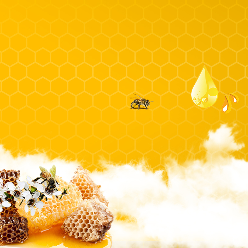 蜂巢蜂蜜食品PSD分层主图背景素材，高清JPG下载，另类图片设计新选择