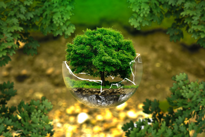 植树节背景图片，保护脆弱生态，高清JPG素材任你下载