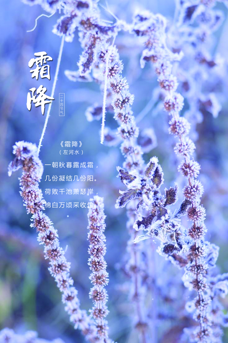 霜降节气特色素材，高清JPG及其他创意设计图片下载