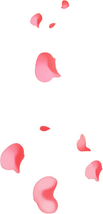 红色花瓣漂浮PNG素材，高清透明图片，设计元素下载