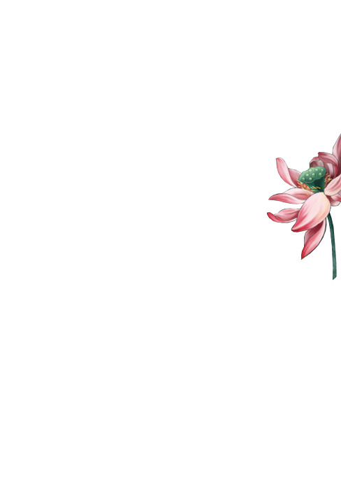手绘花朵PNG素材，高清透明图片，花瓣漂浮元素，设计下载必备