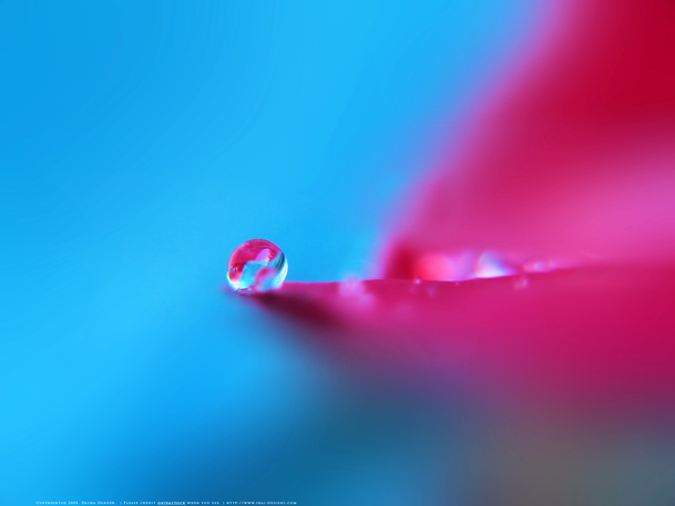 粉色背景蓝色水珠PNG透明图片，几何扁平渐变设计素材免费下载