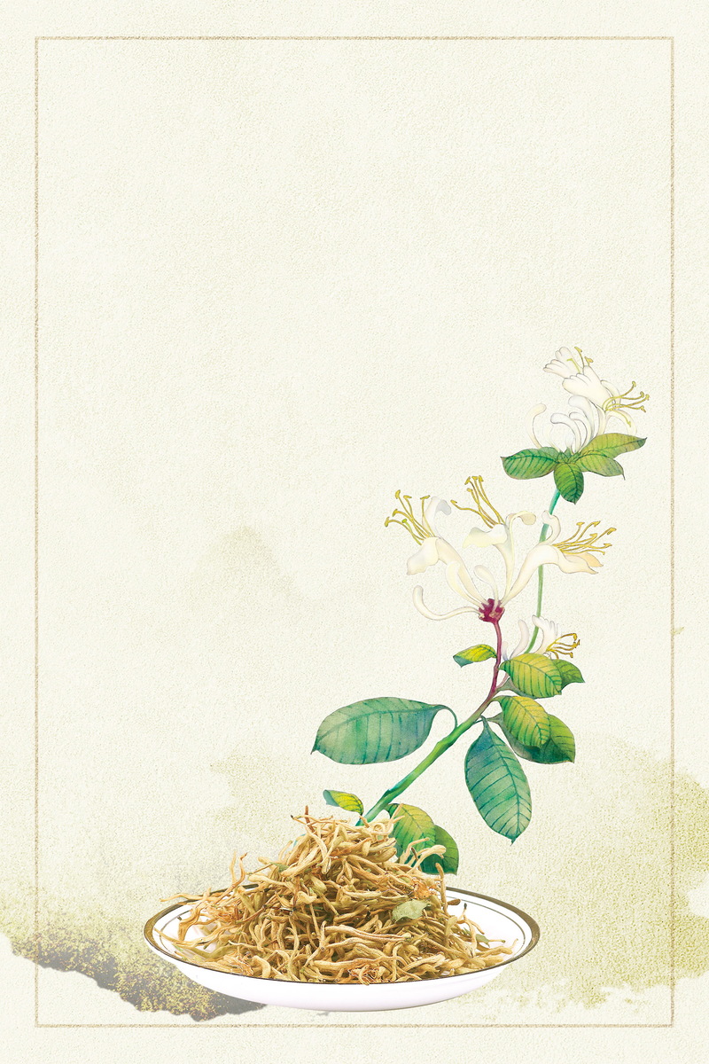 金银花药材花茶高清图片，清新另类的JPG素材下载