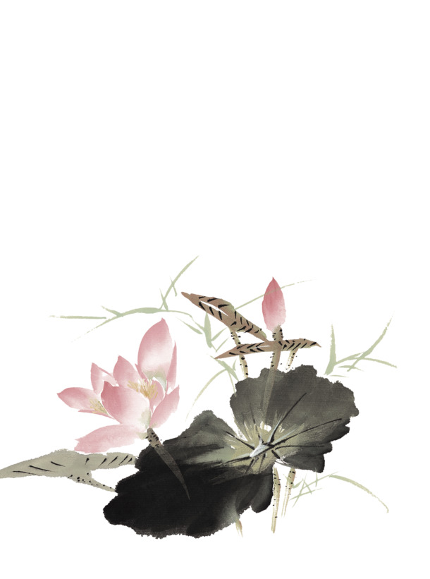 水墨荷花PNG透明图，高清装饰元素，笔触墨迹设计素材下载