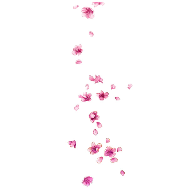 花瓣浮漂PNG透明图片，高清设计素材，免费下载
