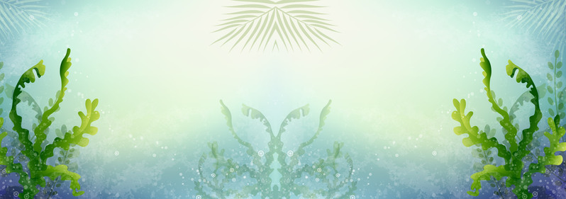 海底梦幻清新背景，高清JPG Banner图片素材，另类创意下载