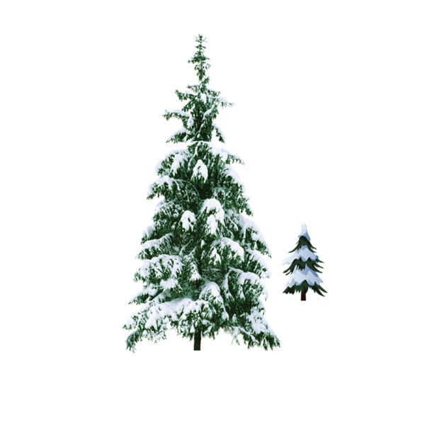 高清透明PNG，雪中圣诞树，节日元素设计素材，免费下载享圣诞氛围