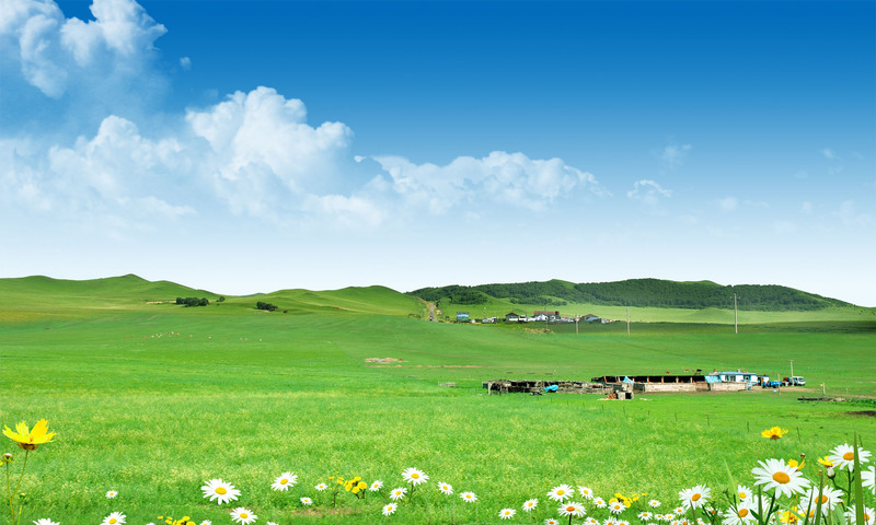 高清合成草原风景展板背景素材JPG，另类图片设计资源，一键下载