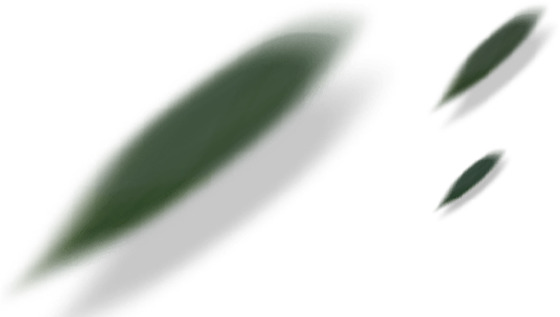 高清绿叶轨迹PNG素材，透明漂浮叶子设计元素，免费下载