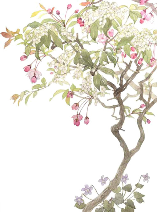 唯美花树PNG素材，高清透明漂浮花瓣设计元素，免费下载