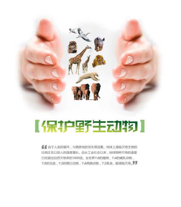 高清PNG透明动物图案，节日元素及其他节日设计素材，一键下载