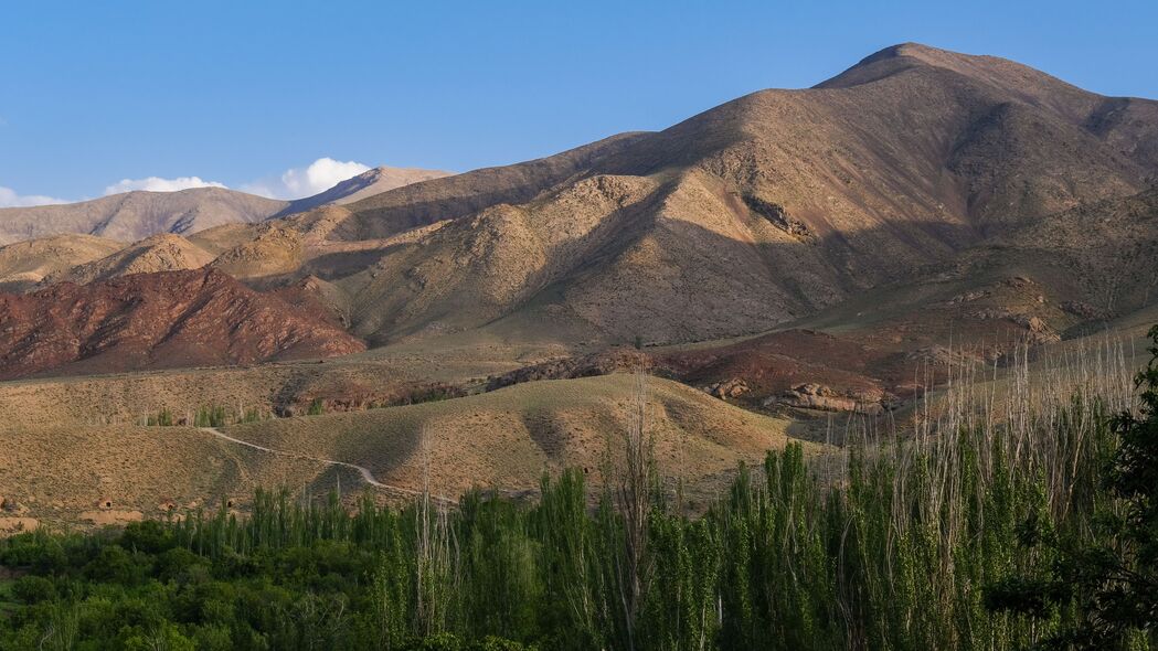 绝美山脉浮雕，高清4K森林风景壁纸，3840x2160分辨率，树木葱郁，免费下载