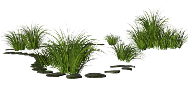 高清小草PNG素材，透明漂浮元素，优质图片设计材料下载
