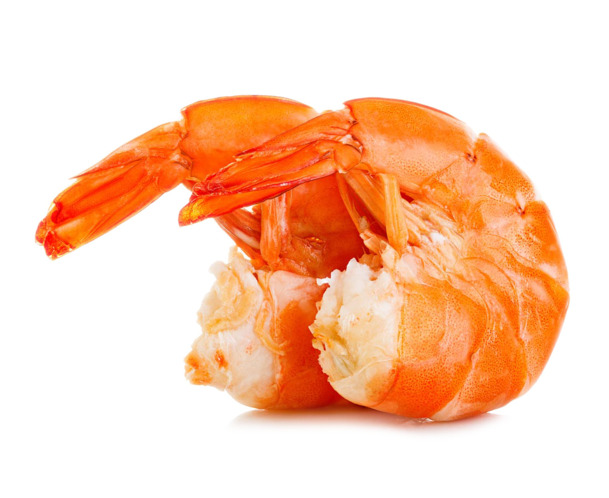 高清透明PNG美味鲜虾装饰元素，动物图片设计素材免费下载