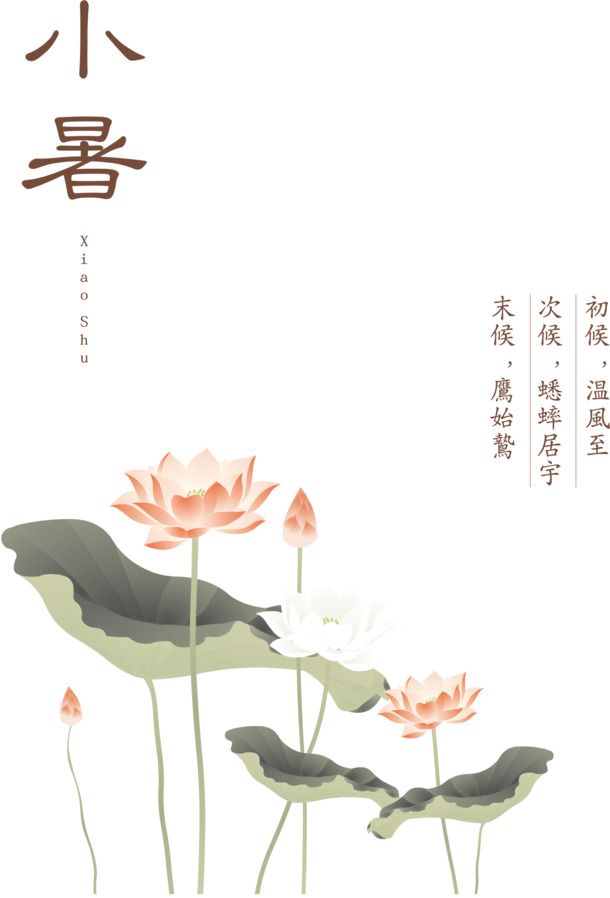 小暑节气高清PNG透明免抠图素材，设计元素精选下载