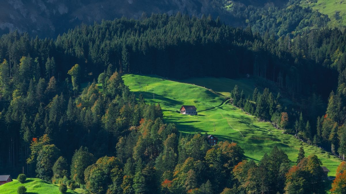 4K高清壁纸，翠绿山坡上的木屋，绝美风景桌面，3840x2160分辨率，免费下载