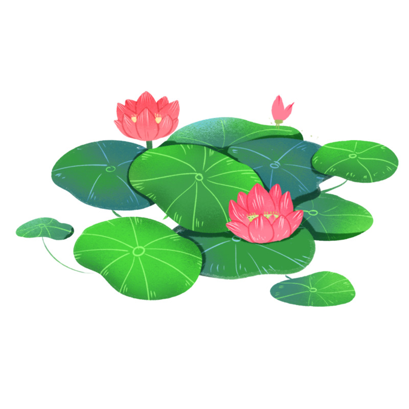 高清手绘卡通立夏荷花PNG透明图，动植物元素融合，植物设计素材免费下载