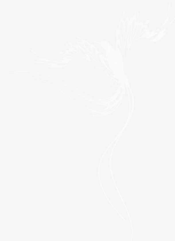 高清透明PNG白色孔雀装饰元素，精美动物图片设计素材下载