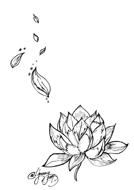 高清PNG透明莲花装饰元素，墨迹笔触设计素材免费下载
