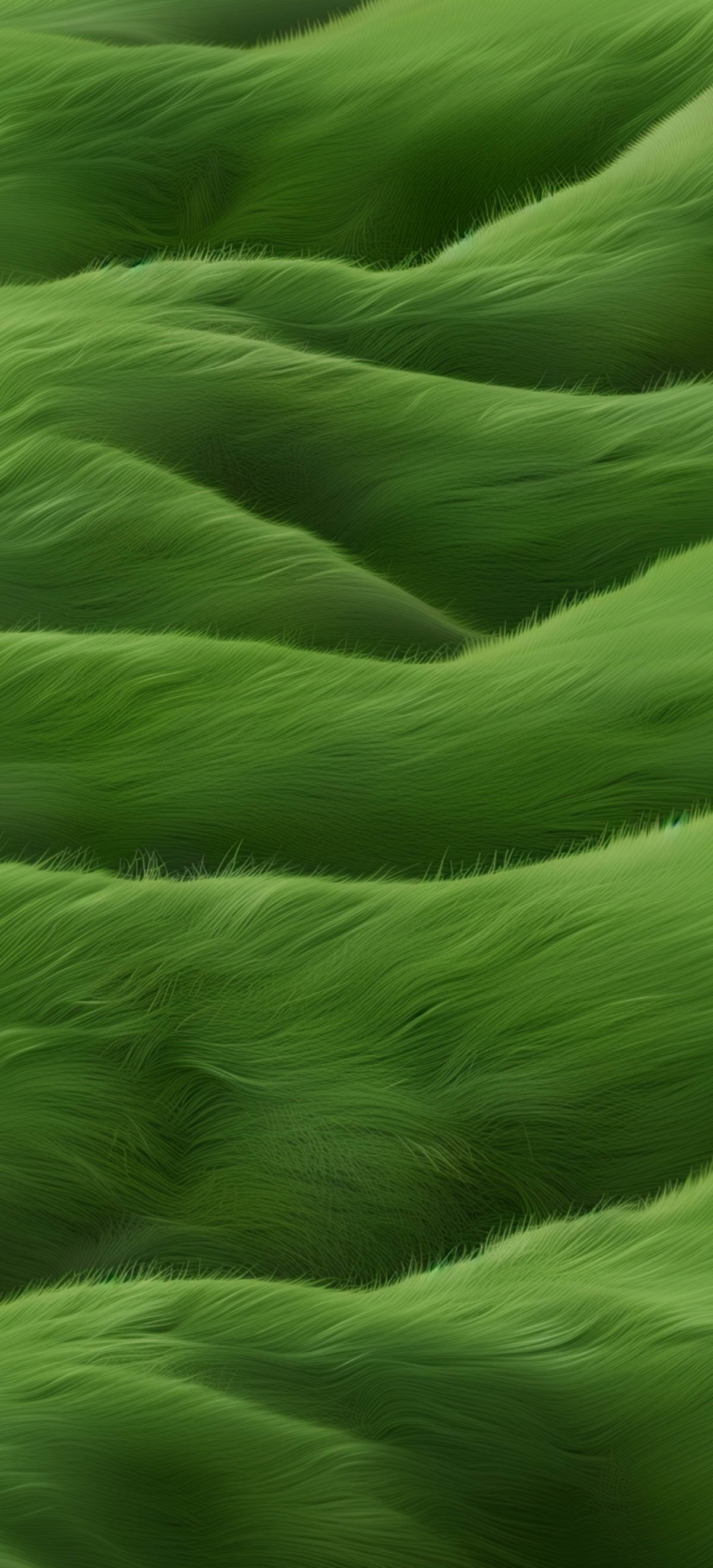ColorOS 15绿色护眼模式，内置超高清1441x3168 4K壁纸，专属手机美化，一键下载