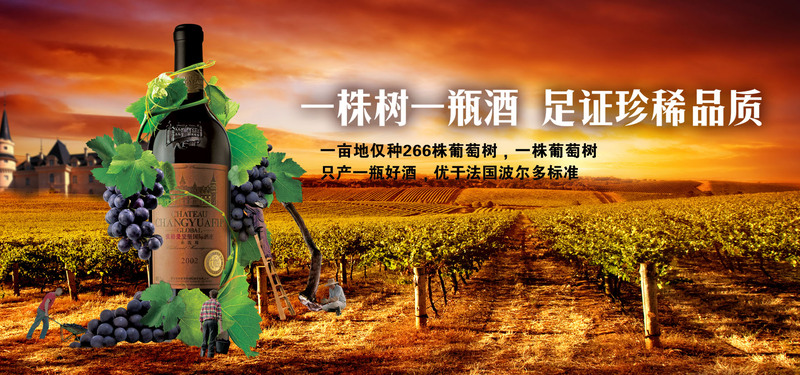 精选葡萄酒庄园高清JPG图片 - 电商狂欢必备设计素材，一键下载