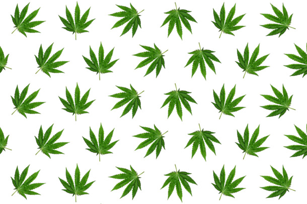 高清大麻叶PNG透明图片，装饰花纹设计素材下载