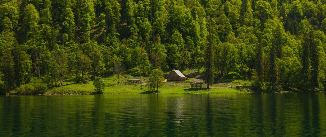 超高清3440x1440带鱼屏壁纸，河流森林自然风景美图下载