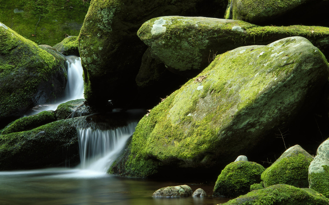 瀑布岩石苔藓流水 4K高清自然风景图片壁纸 1920x1200 下载
