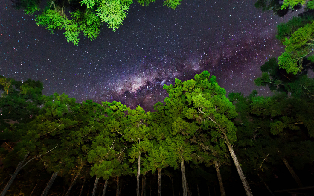 4K高清自然风光壁纸，夜晚天空星星与树木光影，2048x1278分辨率下载