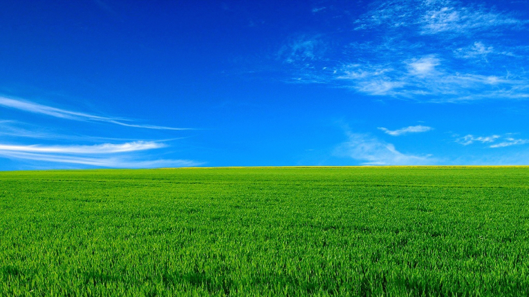 4K高清风景壁纸，蓝色天空与绿色草地地平线，1920x1080分辨率下载