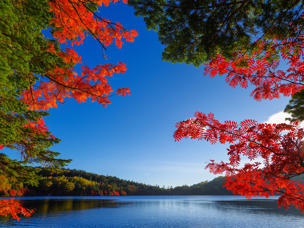 4K高清秋天风景壁纸，天空、湖泊、树木叶子，2048x1536分辨率图片下载