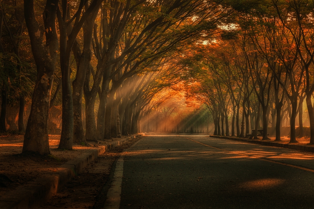 秋日林道4K摄影高清壁纸，2048x1365分辨率下载