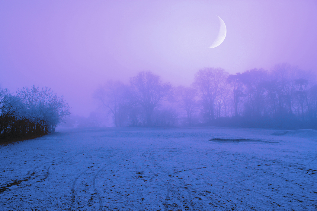 冬季紫夜4K自然风景摄影，雪雾树木草地月亮，高清壁纸2048x1365下载