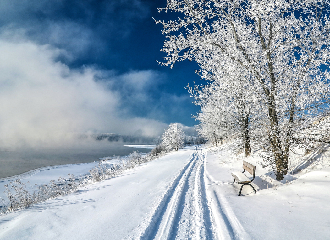 4K高清壁纸下载，冬日雪景道路树木椅子风景图 2880x2100