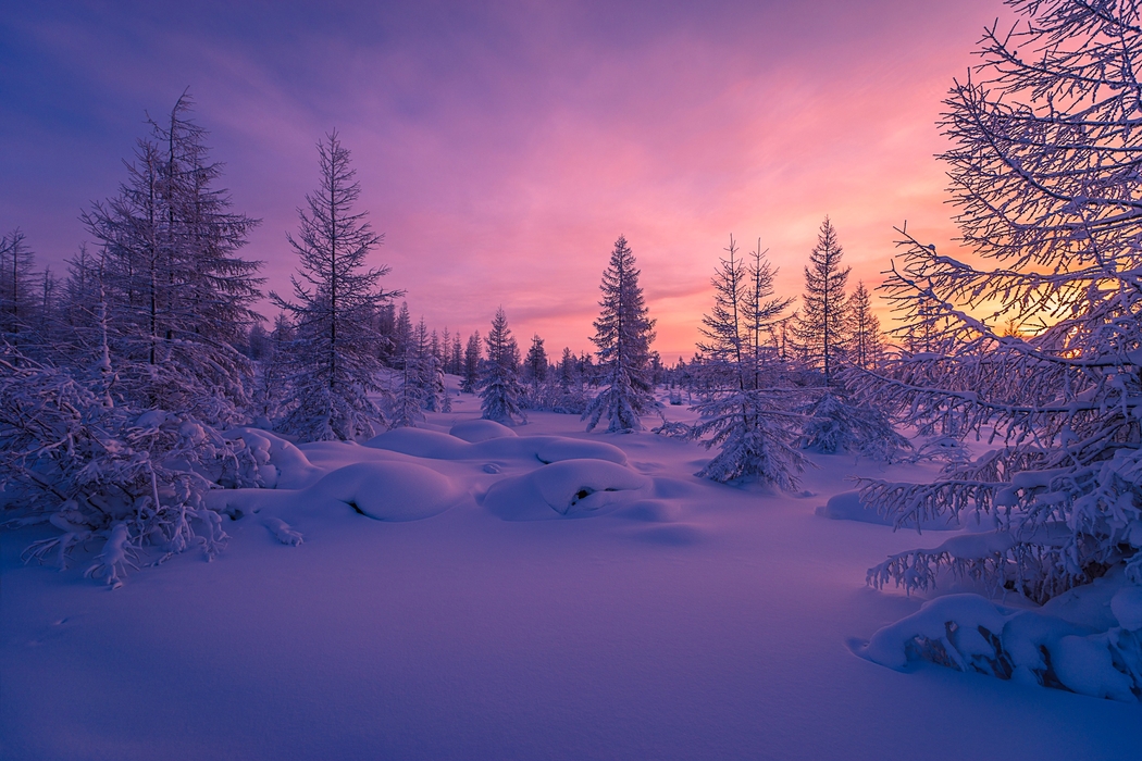 冬日雪景，森林雪堆4K高清壁纸（2475x1650）下载