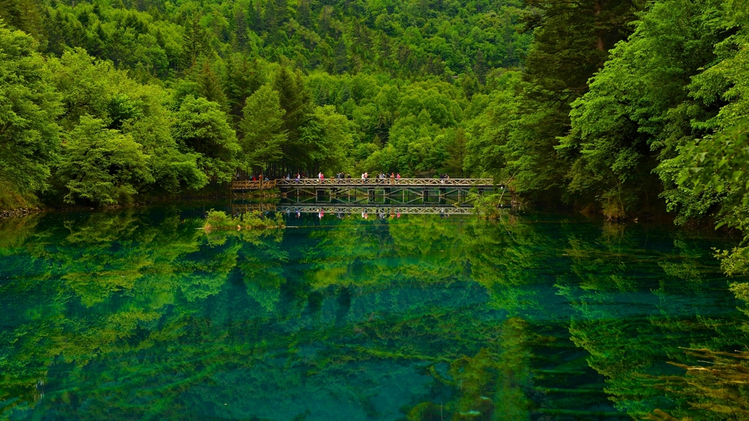 四川九寨沟4K高清风景壁纸，湖泊、桥梁与森林，3202x1800分辨率下载