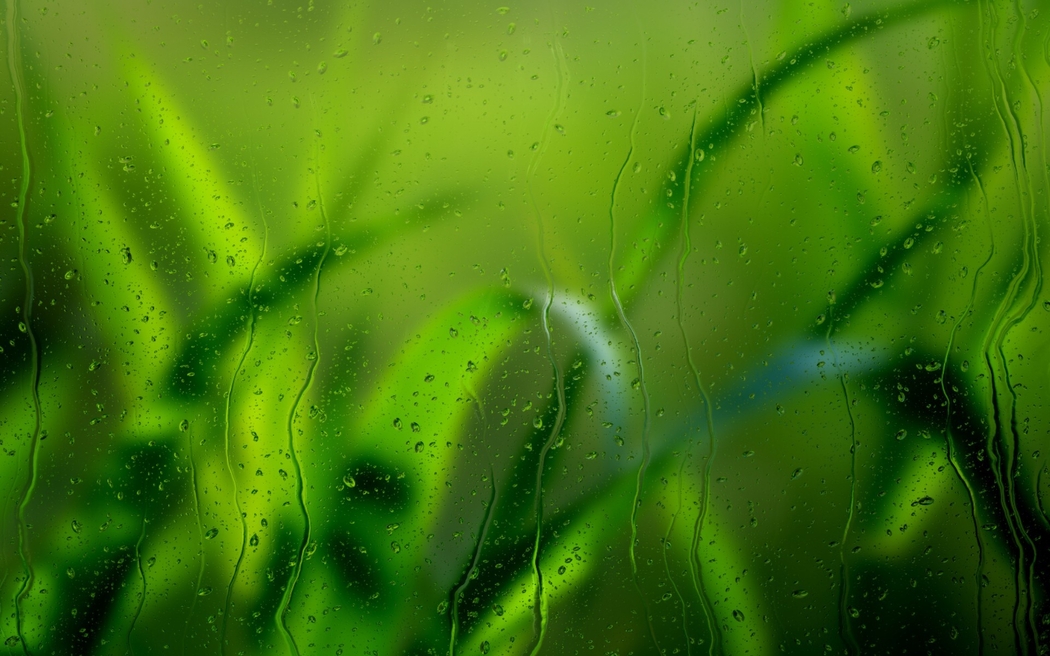 水滴绿草磨砂玻璃4K高清壁纸，1920x1200分辨率背景图下载