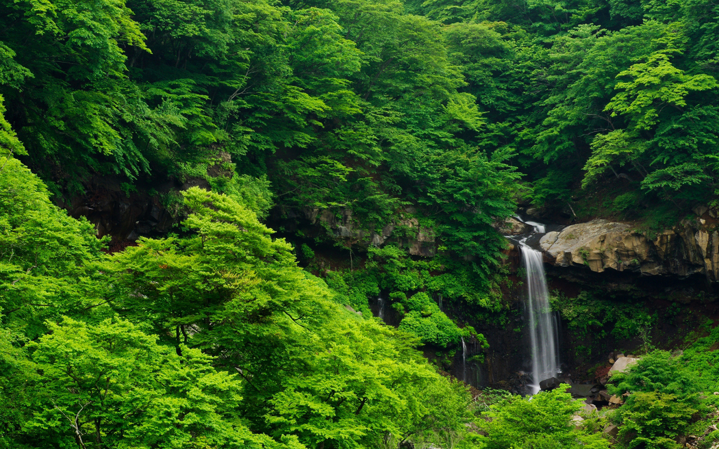 4K高清壁纸，小溪瀑布绿色自然风景，2880x1800分辨率下载